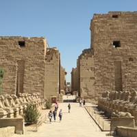 Allee des sphinx Louxor