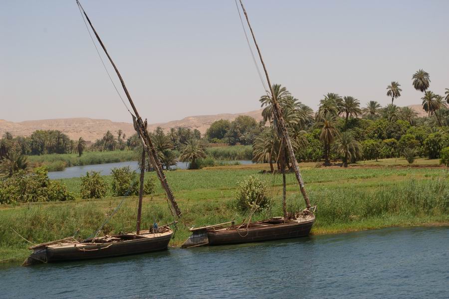 Rive du Nil