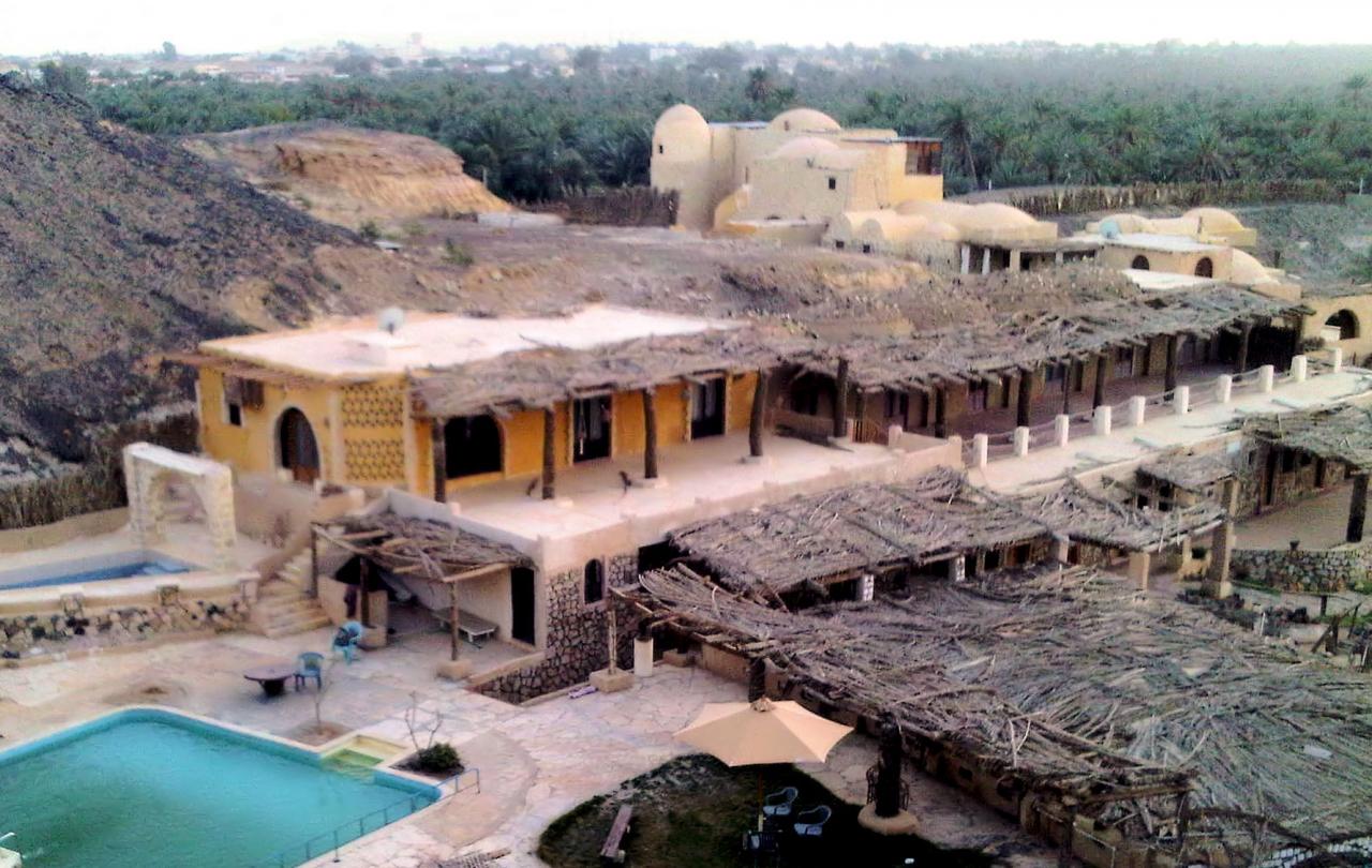 Un gite dans l'oasis de Bahareya