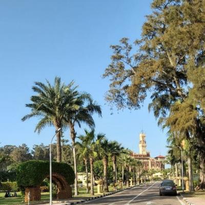 Jardin du palais montazah