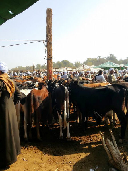 Marché de Daraw