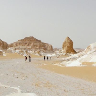 Marche désert blanc