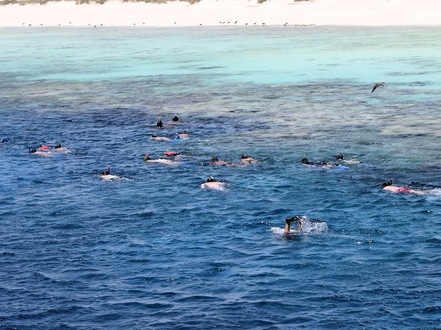 Snorkeling à Hamata