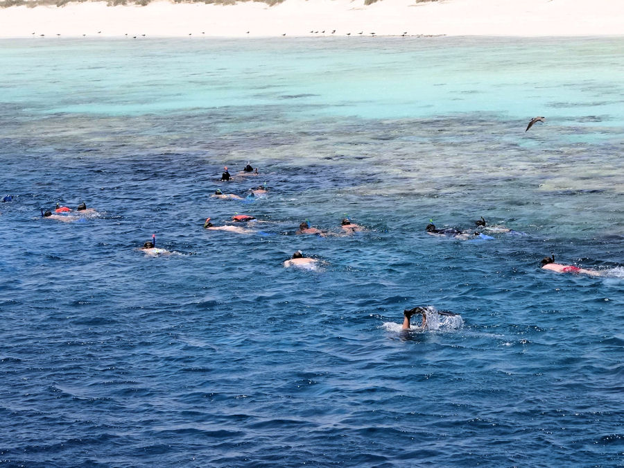 Snorkeling à Hamata