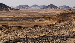 Desert noir egypte