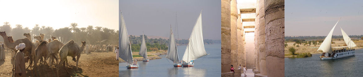 Croisiéres en bateau, en felouque ou dahabeya