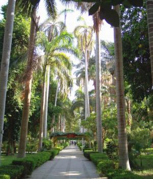 jardin-botanique