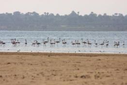 Lac qarun