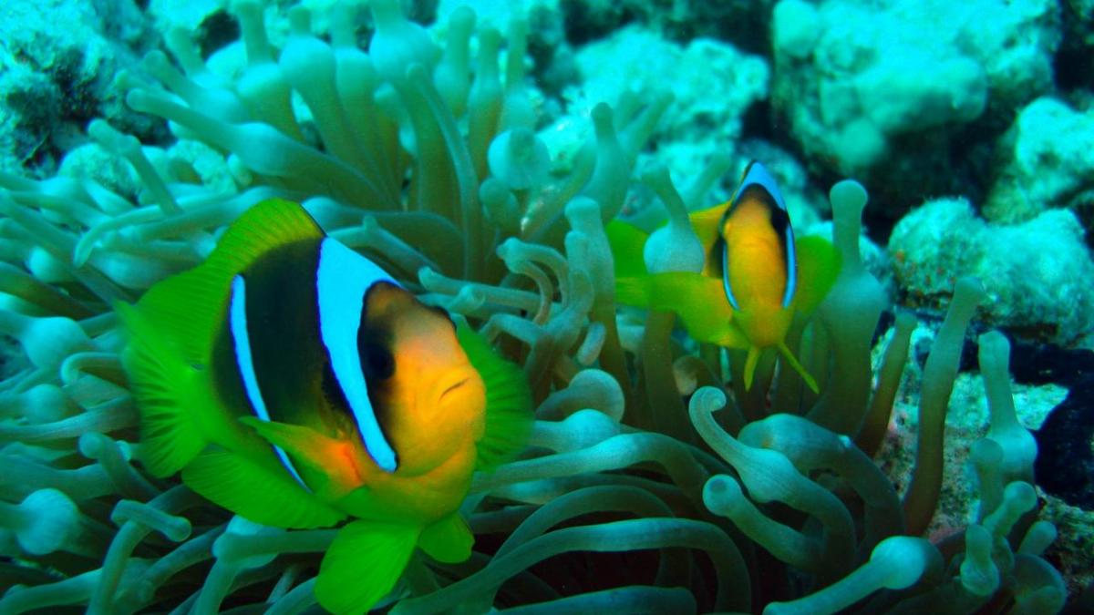 Détente aux environs d'Hurghada pas cher