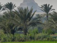 Saqqarah