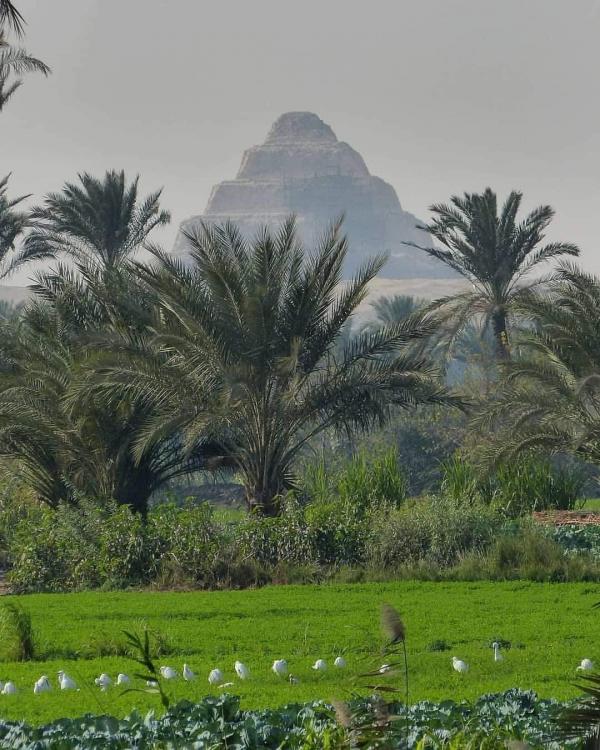 Saqqarah