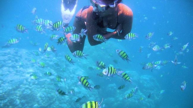 Plongée à Hurghada en Egypte