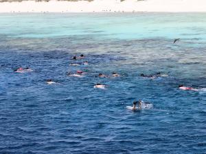 Snorkeling hamata