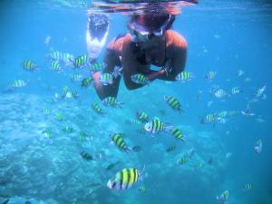 Snorkeling