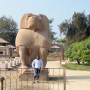 Statue de thot à Hermopolis