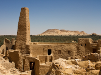 Temple d oracle