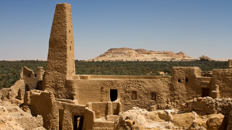 Temple d oracle