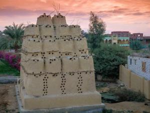 Tunis fayoum